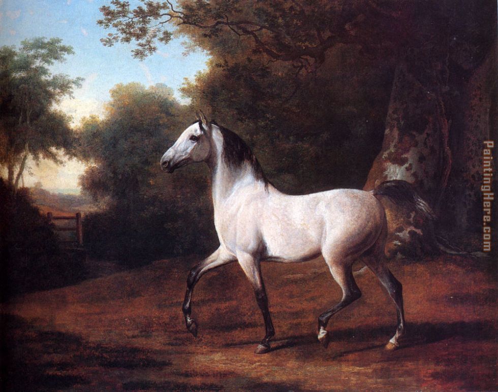 A Grey Arab Stallion In A Wooded Landscape painting - Jacques Laurent Agasse A Grey Arab Stallion In A Wooded Landscape art painting